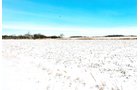 Property photo 1 - LAND AUCTION - 181.22+/- ACRE OFFERED IN 3 TRACTS IN JASPER CO., INDIANA